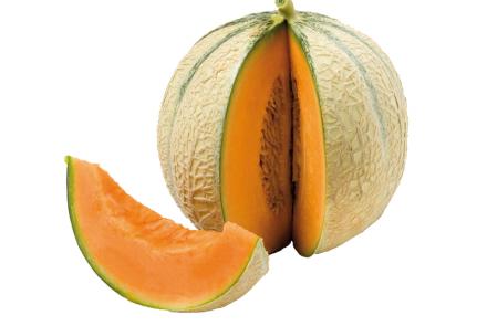 melons primeur